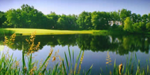 Thal Acres Links