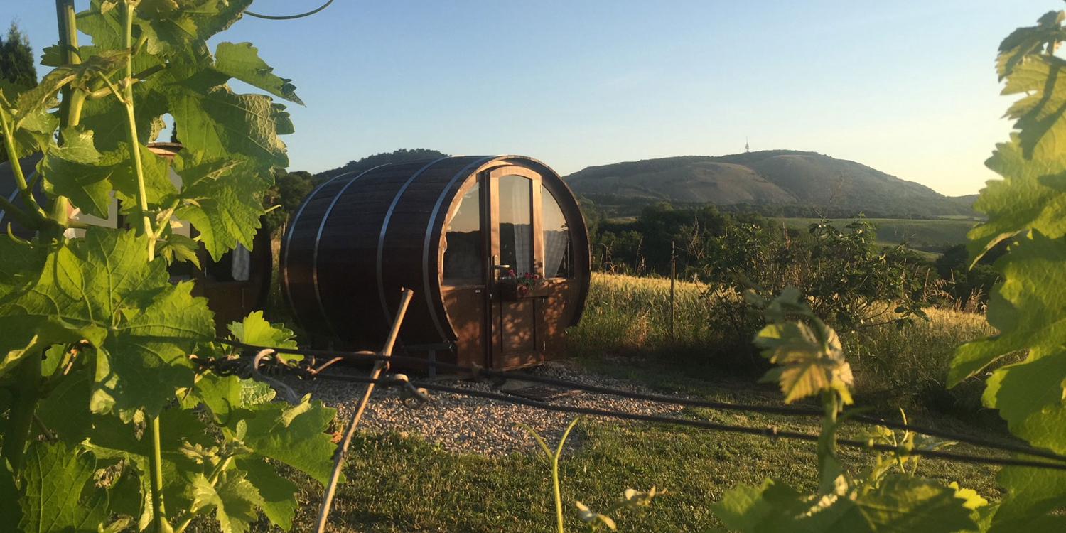 Wine barrels right in the vineyards of Vinarstvi pod Hradem