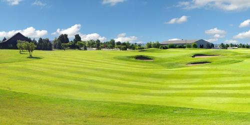 golf article