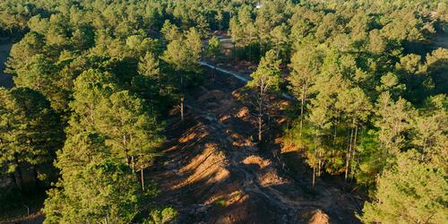 DOAK TO DESIGN PINEHURST RESORT'S 10TH COURSE