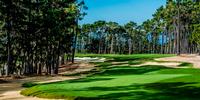 golf article