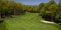 golf article