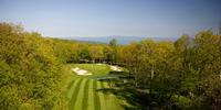 golf article
