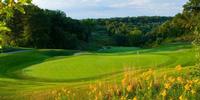golf article