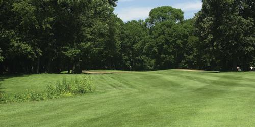 golf article