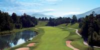 golf article