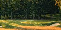 golf article