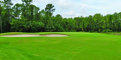 Golf Club of the Everglades