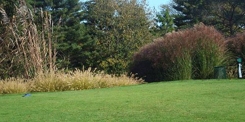 Forest Hills Golf Course