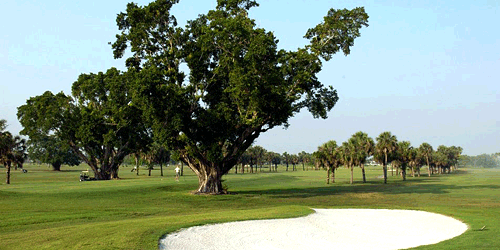 Palmetto Golf Course