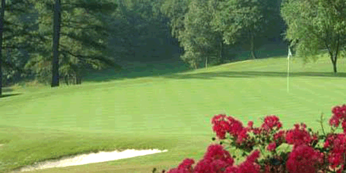 Pine Tree Country Club