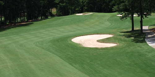 Turtle Point Yacht & Country Club