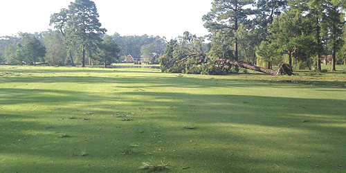 Washington Yacht & Country Club