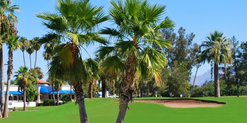 Arizona Golf Resort