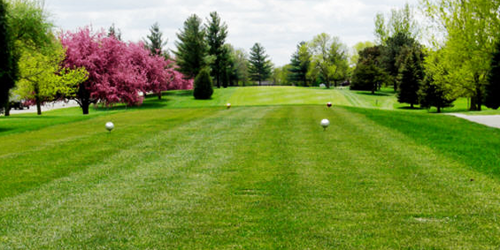 Bear Creek Golf World