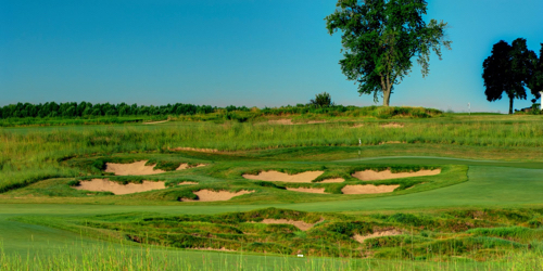 Black Sheep Golf Club