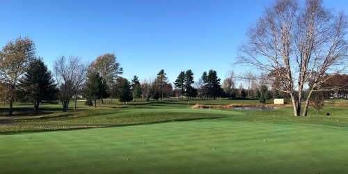 Black Swan Country Club