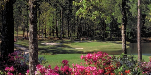 Bluejack National