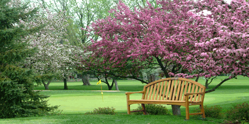 Champaign Country Club