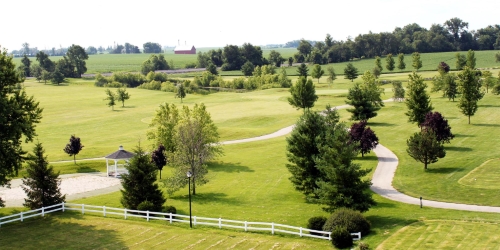 Chicago Golf and Tiki Tees