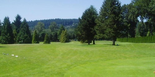 The Childrens Course