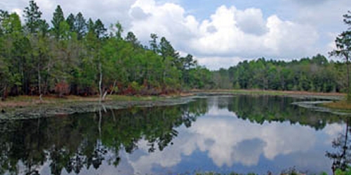 Mill Creek Golf Course