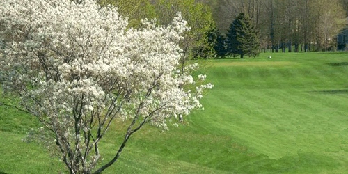 Elmbrook Golf Course