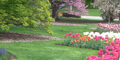 Foster Park Golf Course