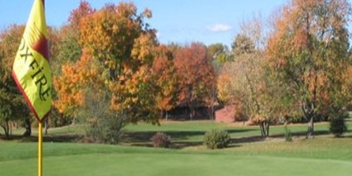 Foxfire at Village Green