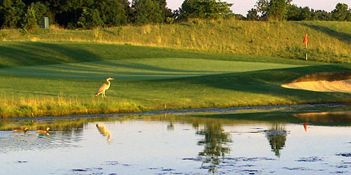 The Golf Club of Dublin