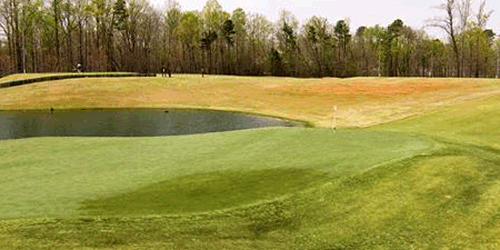 Knights Play Golf Center