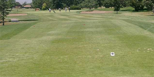 Los Altos Golf Course - Executive