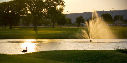 Oak Hollow Golf Course