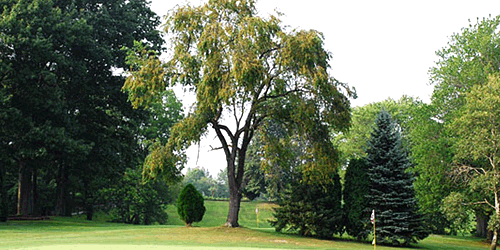 Olde Dutch Mill Golf Course
