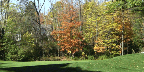 Old Oakland Golf Club