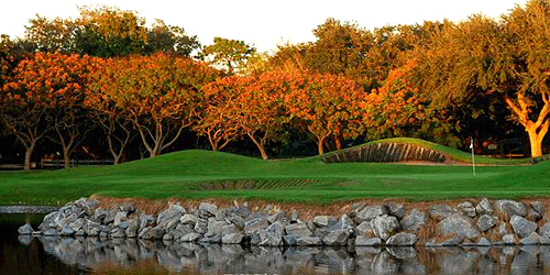 Orange Tree Golf Club