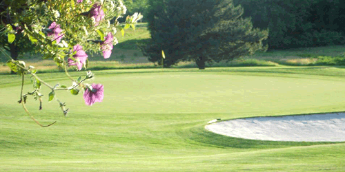 Platteview Country Club