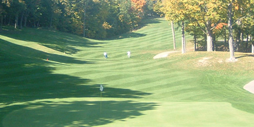 Ellis Park Golf Course