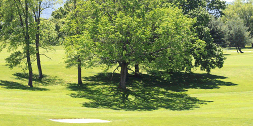 Thorn Spring Golf Club