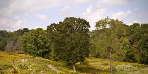 Churchill Valley Country Club