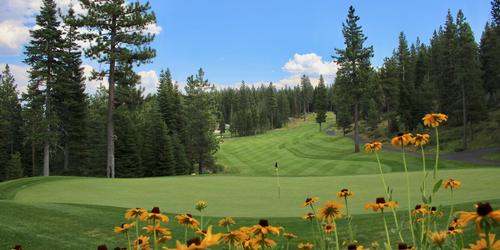 Coyote Moon Golf Club