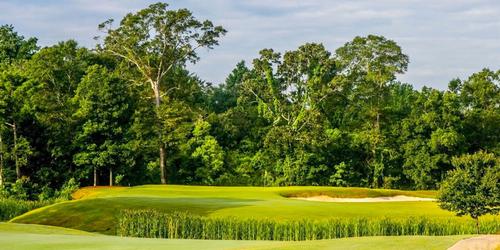 Country Club of Jackson