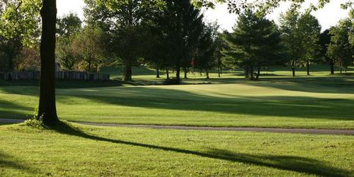 Chippendale Golf Course