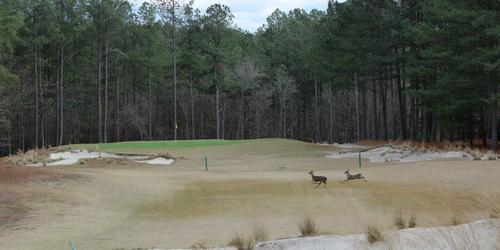 Deercroft Golf & Country Club