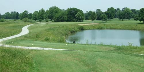 Forest Park Golf Course