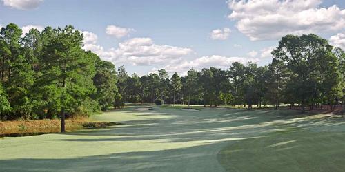 Foxfire Resort - Red Fox