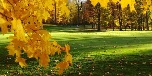 Ironwood Links Golf Club