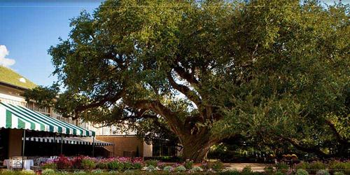 New Orleans Country Club