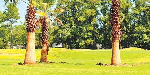 The Palms Course at Oakdale