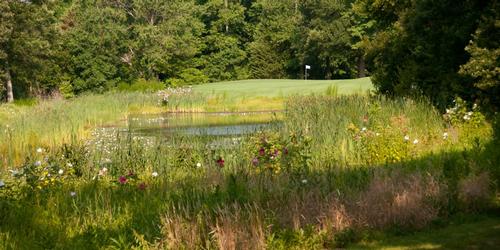 The Salt Pond Golf Course